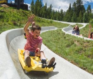 alpine slide crop