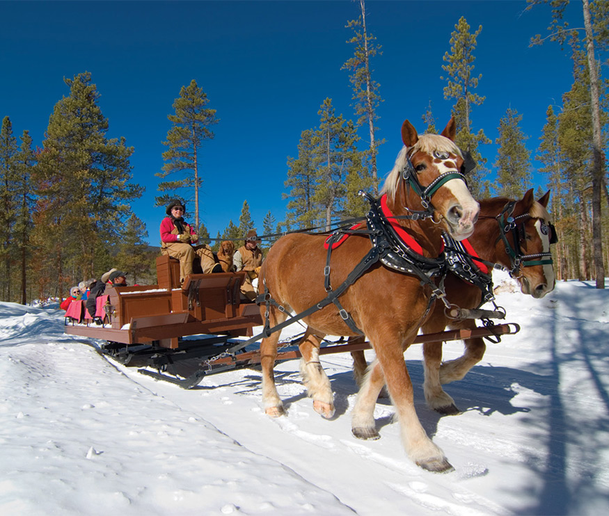 SLEIGH RIDE